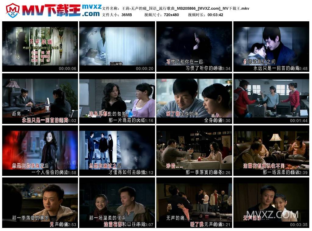 王莉-无声的痛_国语_流行歌曲_MB205866